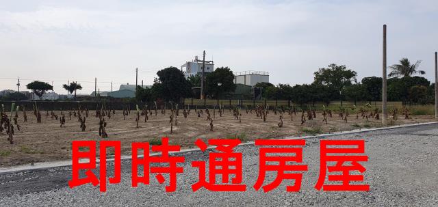 湖內農地-3