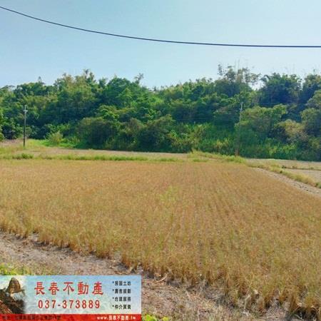 苗栗農地-3