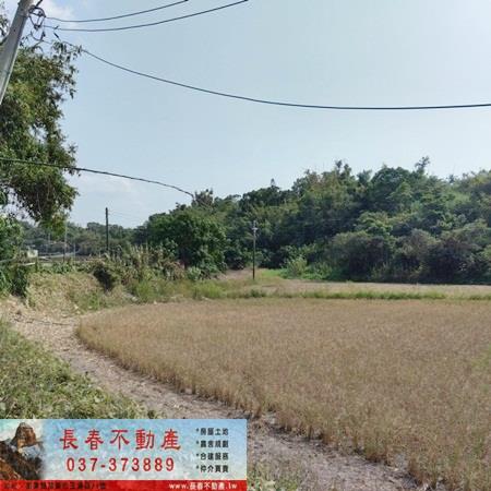 苗栗農地-4
