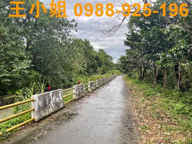 桃園農地-1