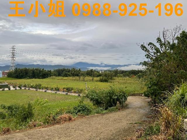 桃園農地-3