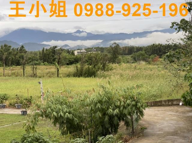 桃園農地-4