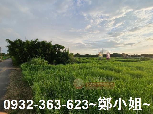 桃園中壢農地-2