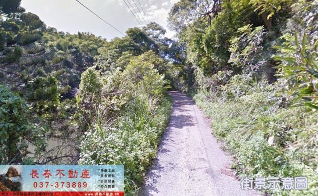 頭份農地-1