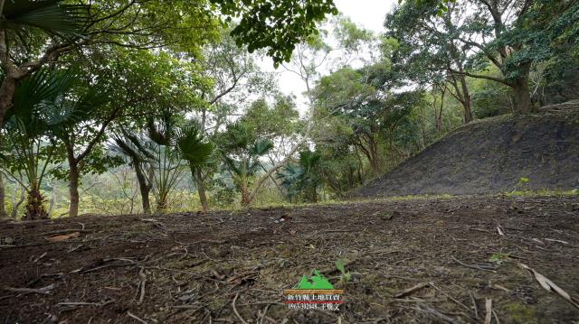 新竹北埔農地-7