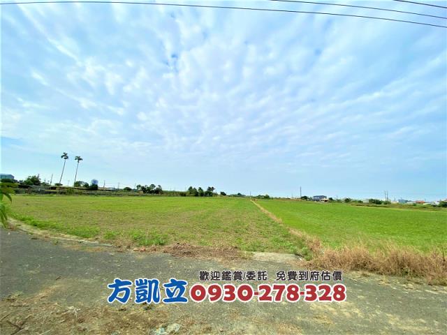 台南善化農地-11