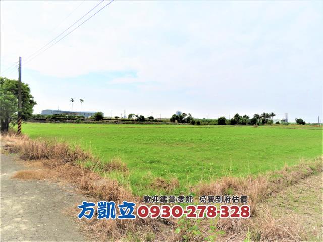 台南善化農地-2