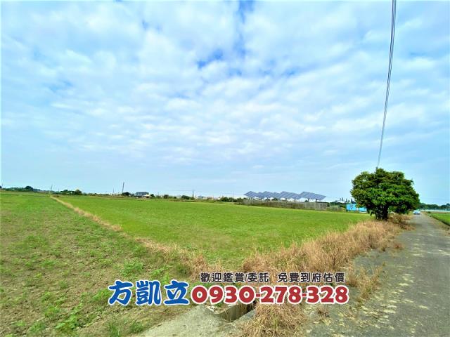 台南善化農地-3