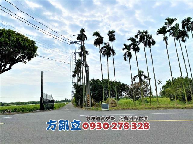 台南善化農地-7