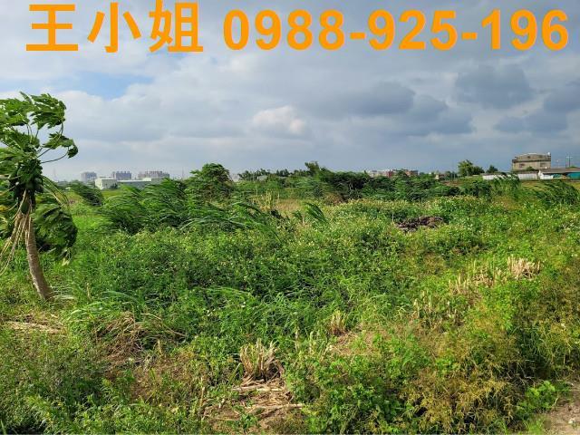 桃園農地-10