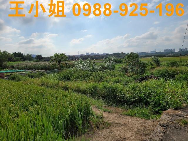 桃園農地-2