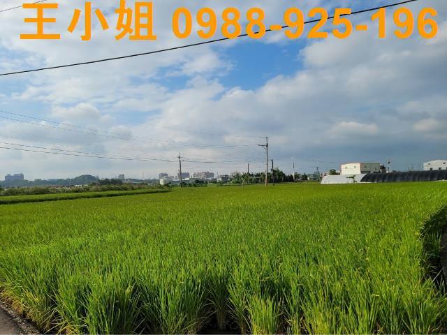 桃園農地-4