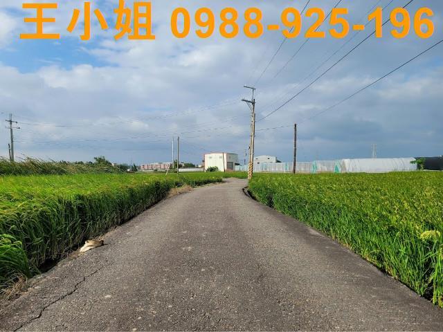 桃園農地-5