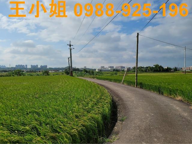 桃園農地-6