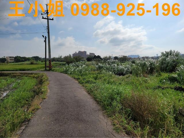 桃園農地-8