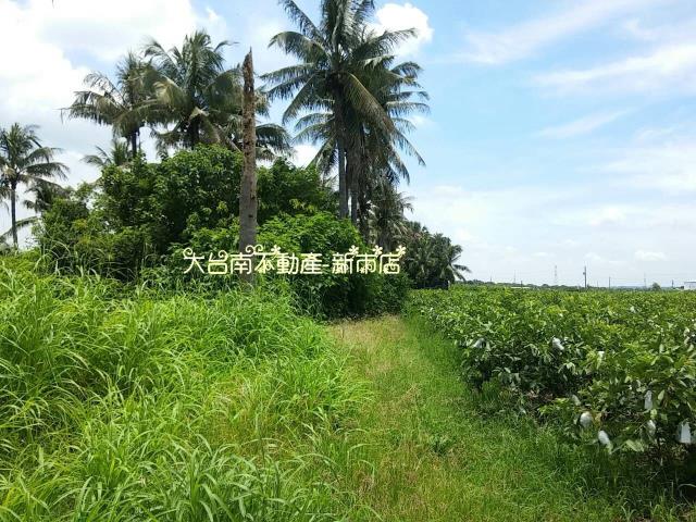 善化農地-4