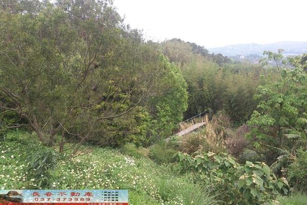 苗栗苗栗市農地-5