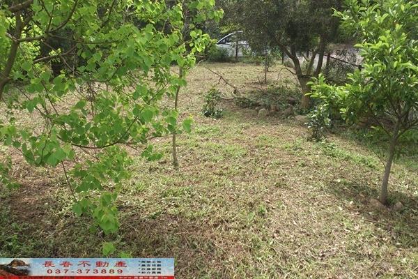 苗栗苗栗市農地-6