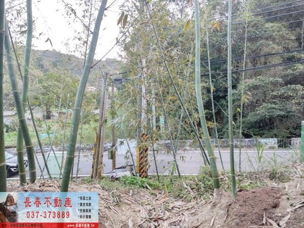 獅潭農地-1