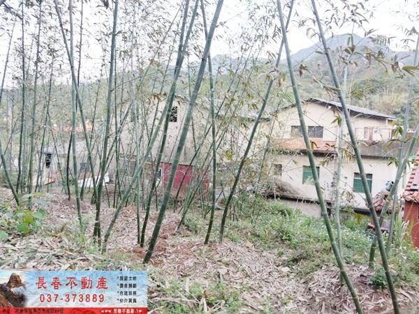 獅潭農地-2