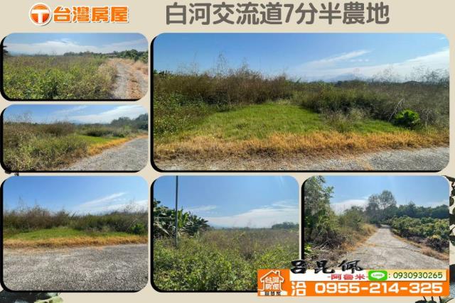 白河農地-1