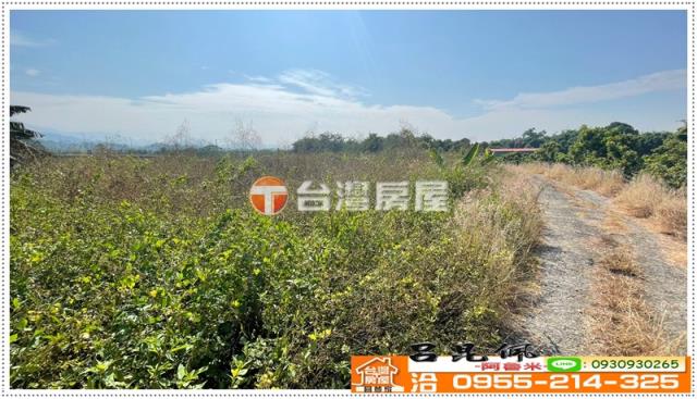 白河農地-4