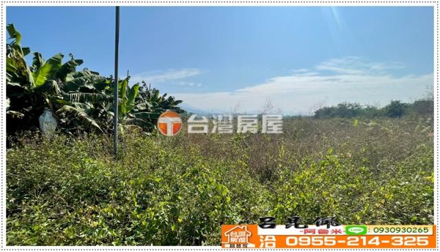 白河農地-6