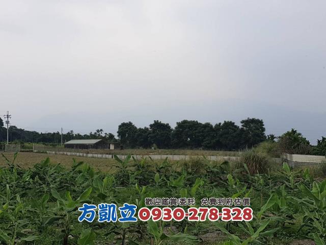 內埔農地-1