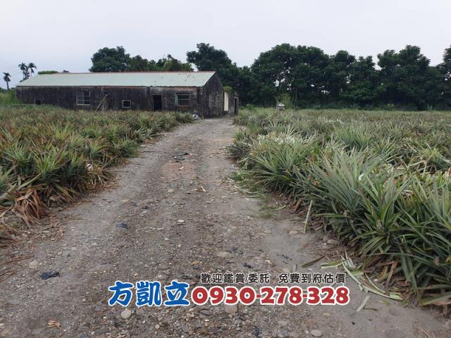 內埔農地-2