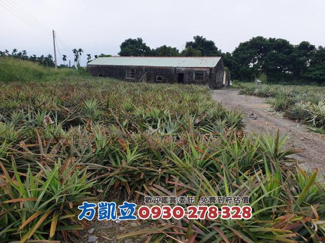 內埔農地-3