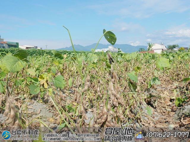 高雄美濃農地-10