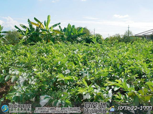 高雄美濃農地-2
