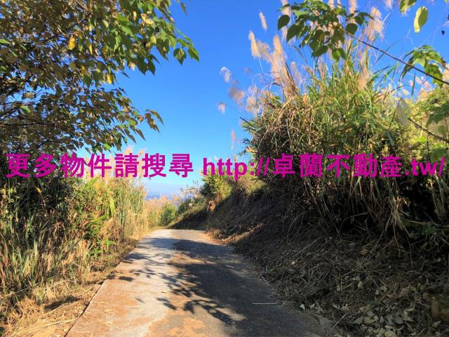苗栗卓蘭農地-11