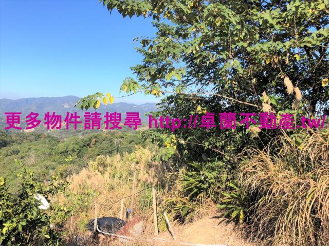苗栗卓蘭農地-2