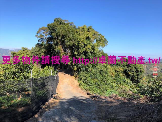 苗栗卓蘭農地-3