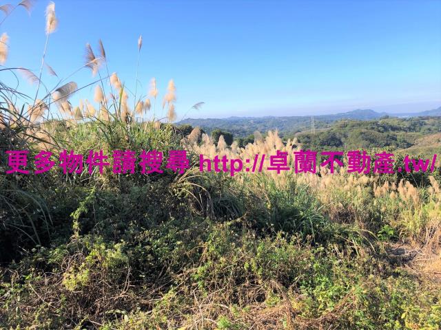 苗栗卓蘭農地-5
