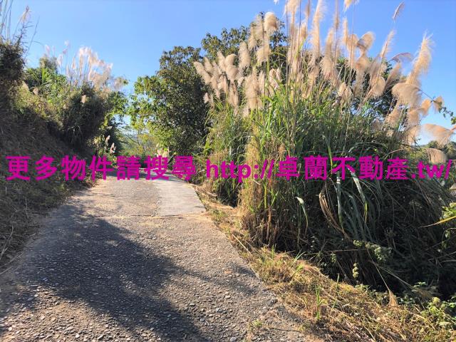 苗栗卓蘭農地-7