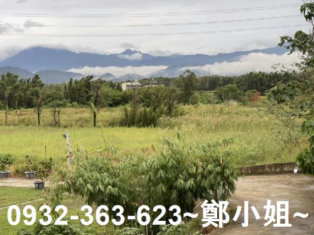 桃園農地-4