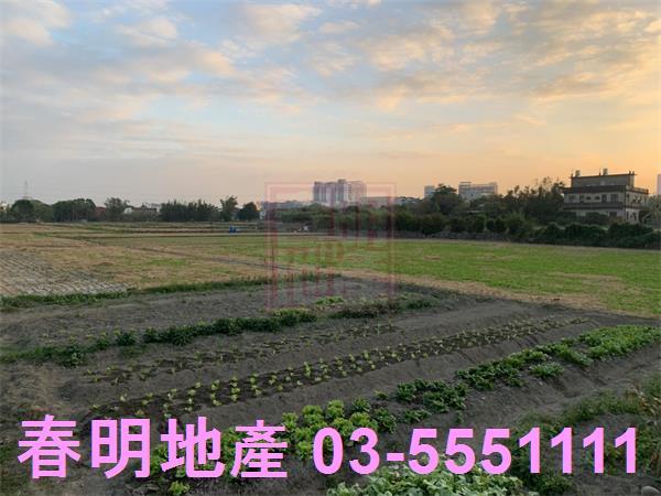 竹北農地-1