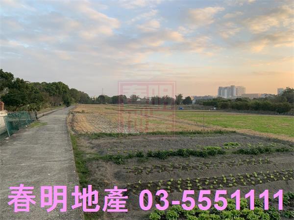竹北農地-3