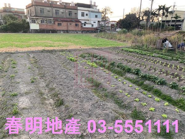 竹北農地-5