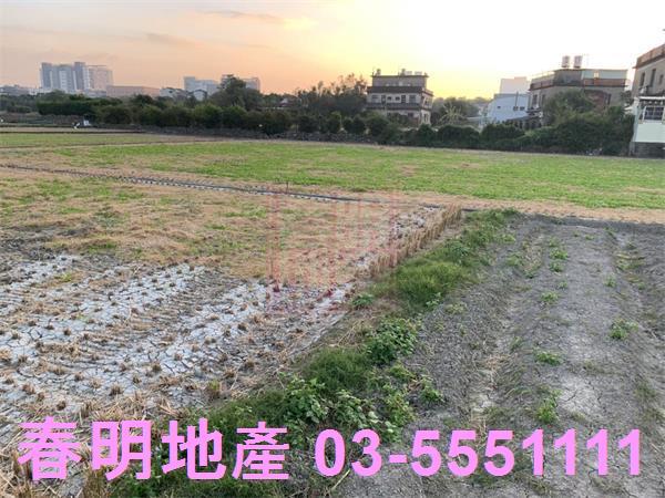 竹北農地-6