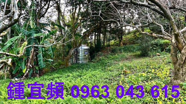 新竹北埔農地-8