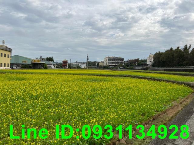 外埔農地-1