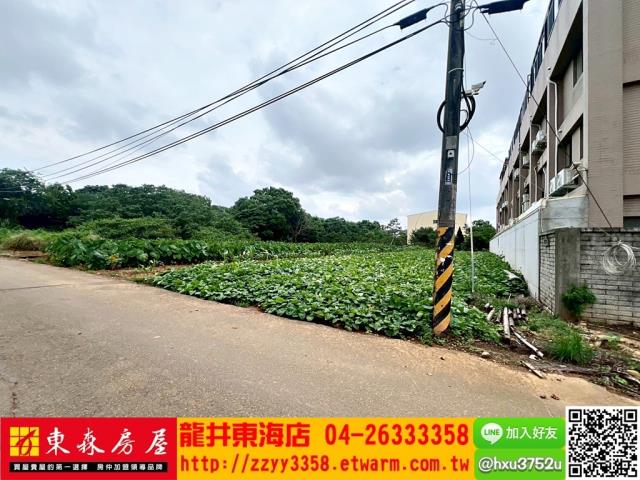 大雅農地-2
