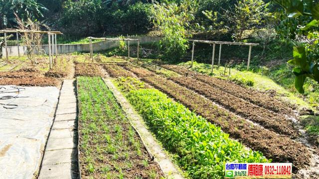 北埔農地-15