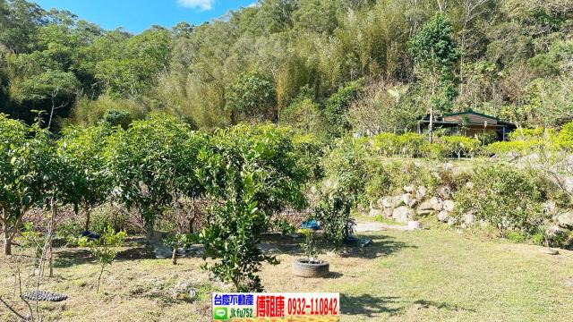 北埔農地-9