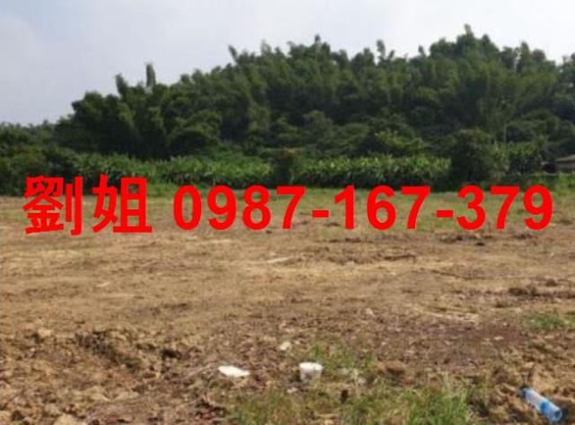 仁武農地-1