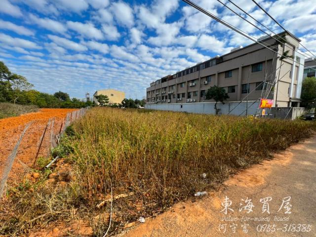 大雅農地-10