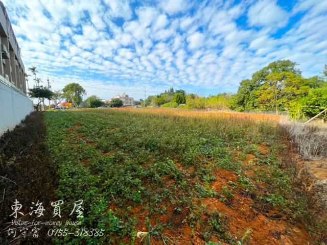 大雅農地-8